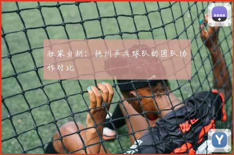 独家分析：杭州乒乓球队的团队协作对比