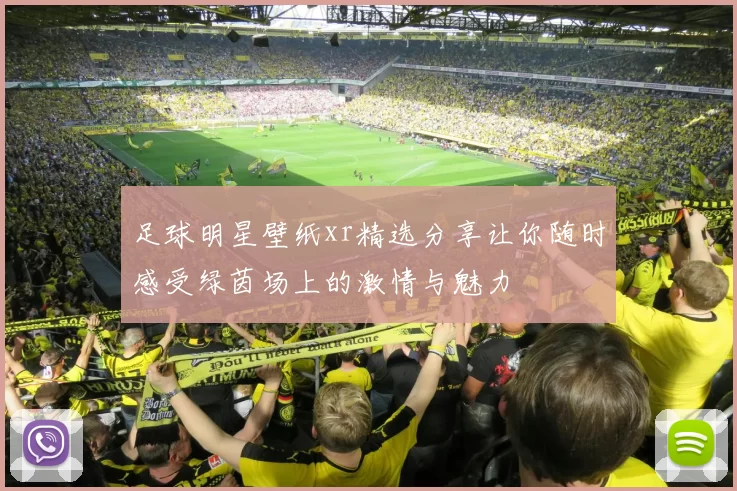 足球明星壁纸xr精选分享让你随时感受绿茵场上的激情与魅力