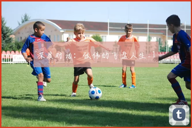 深度对话：张伟的飞盘人生_1